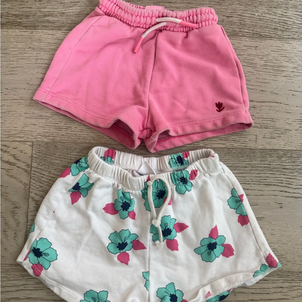 Zara Kids Pink and Floral Shorts Set